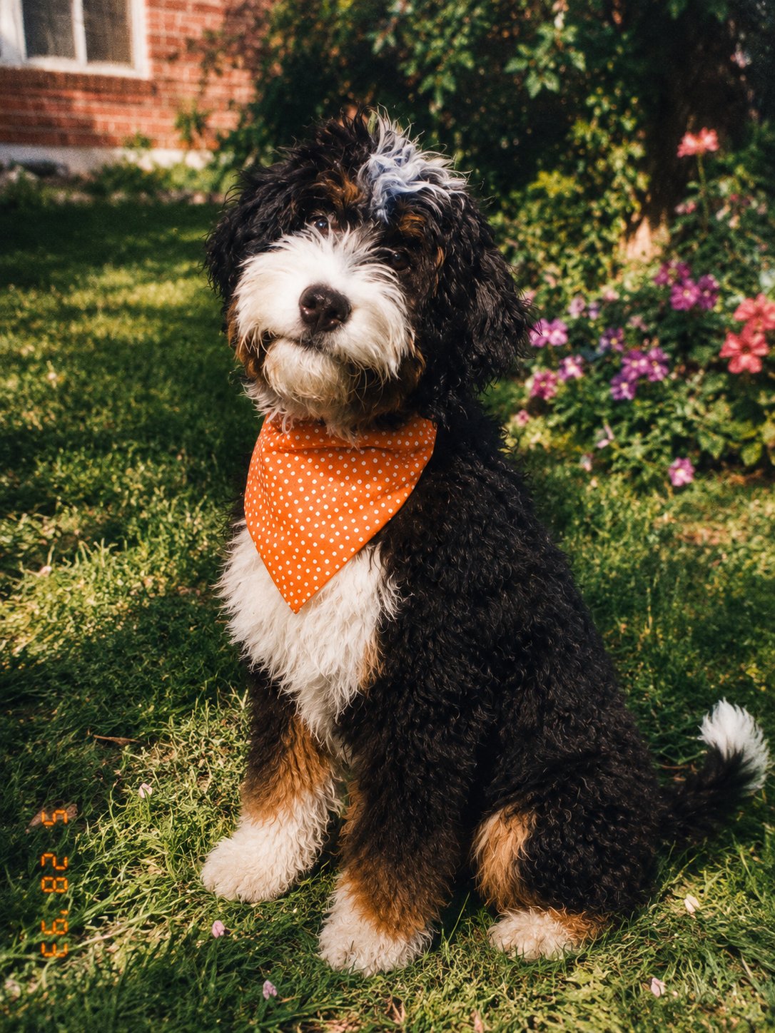 HandTie™ Bandana