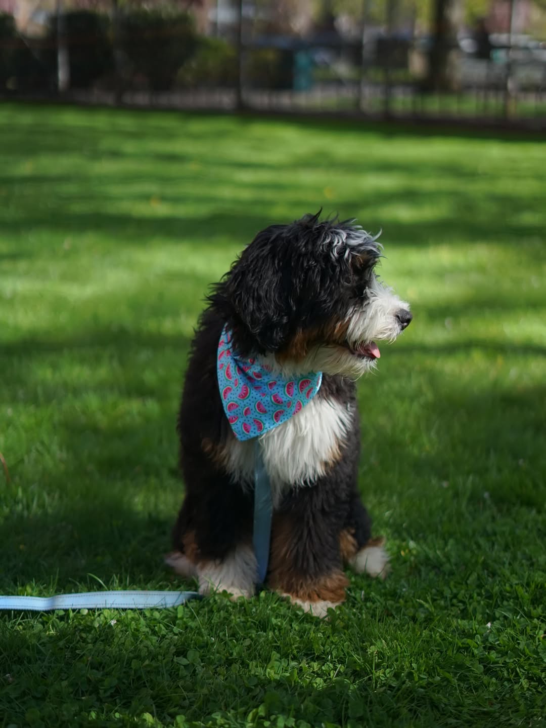 HandTie™ Bandana