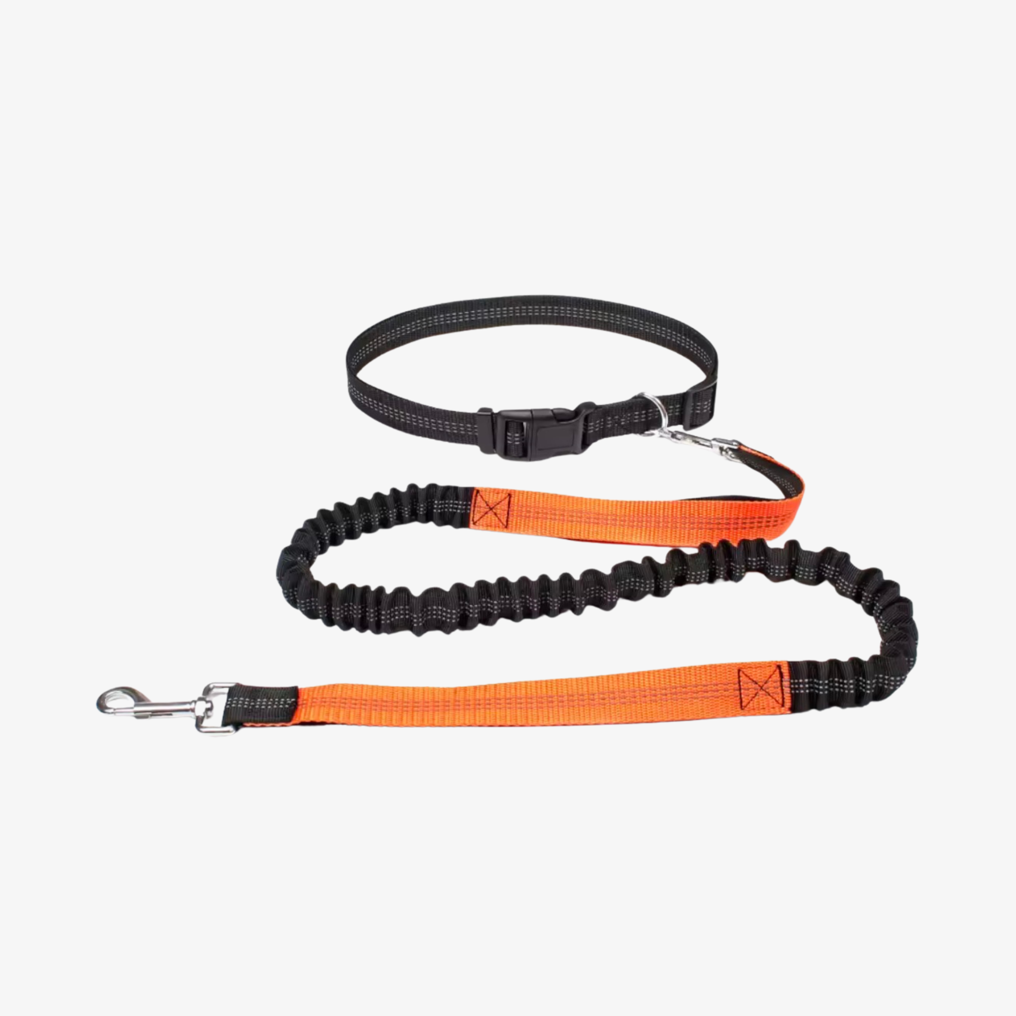 ElasticPro™ Leash