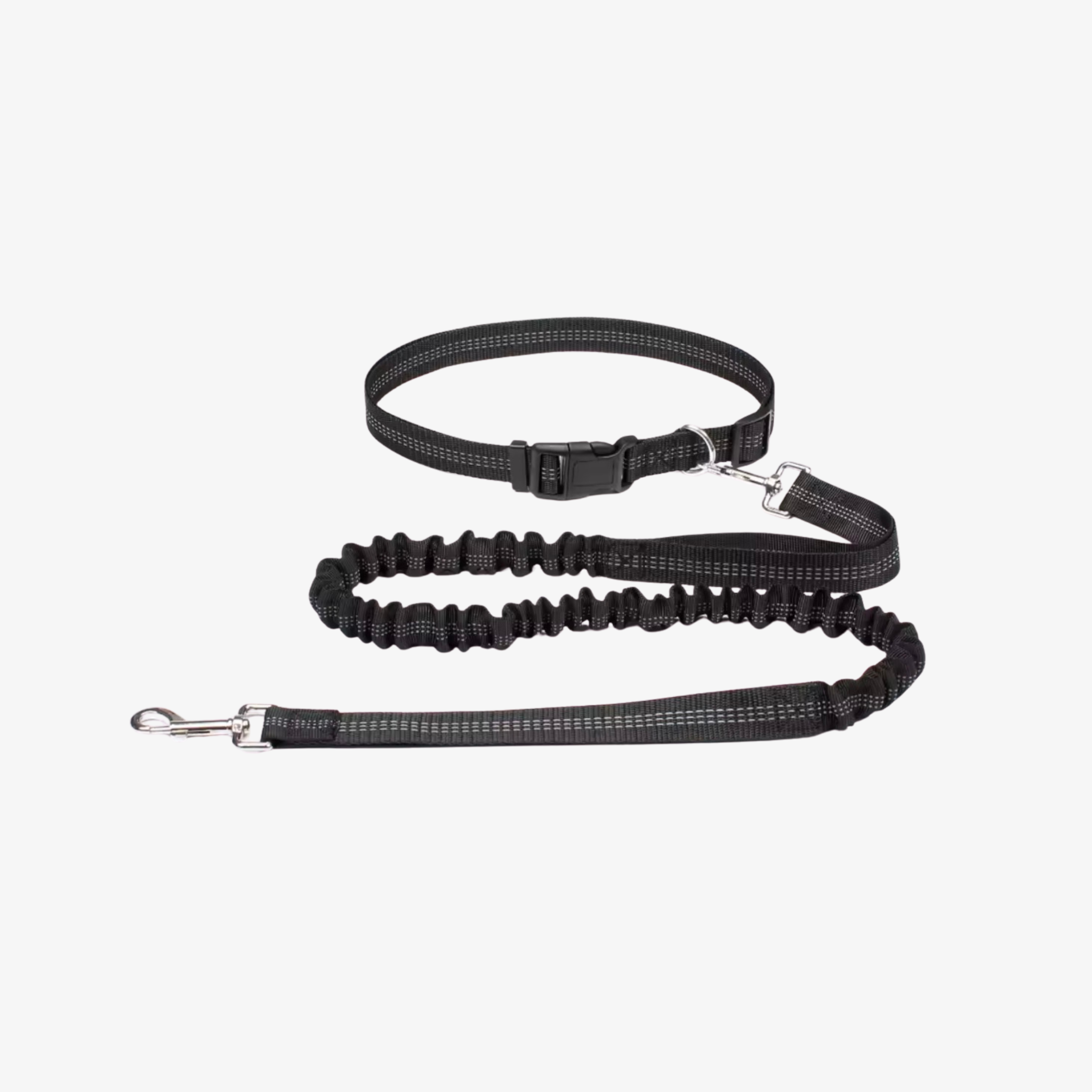 ElasticPro™ Leash