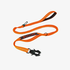 TitanRope™ Leash
