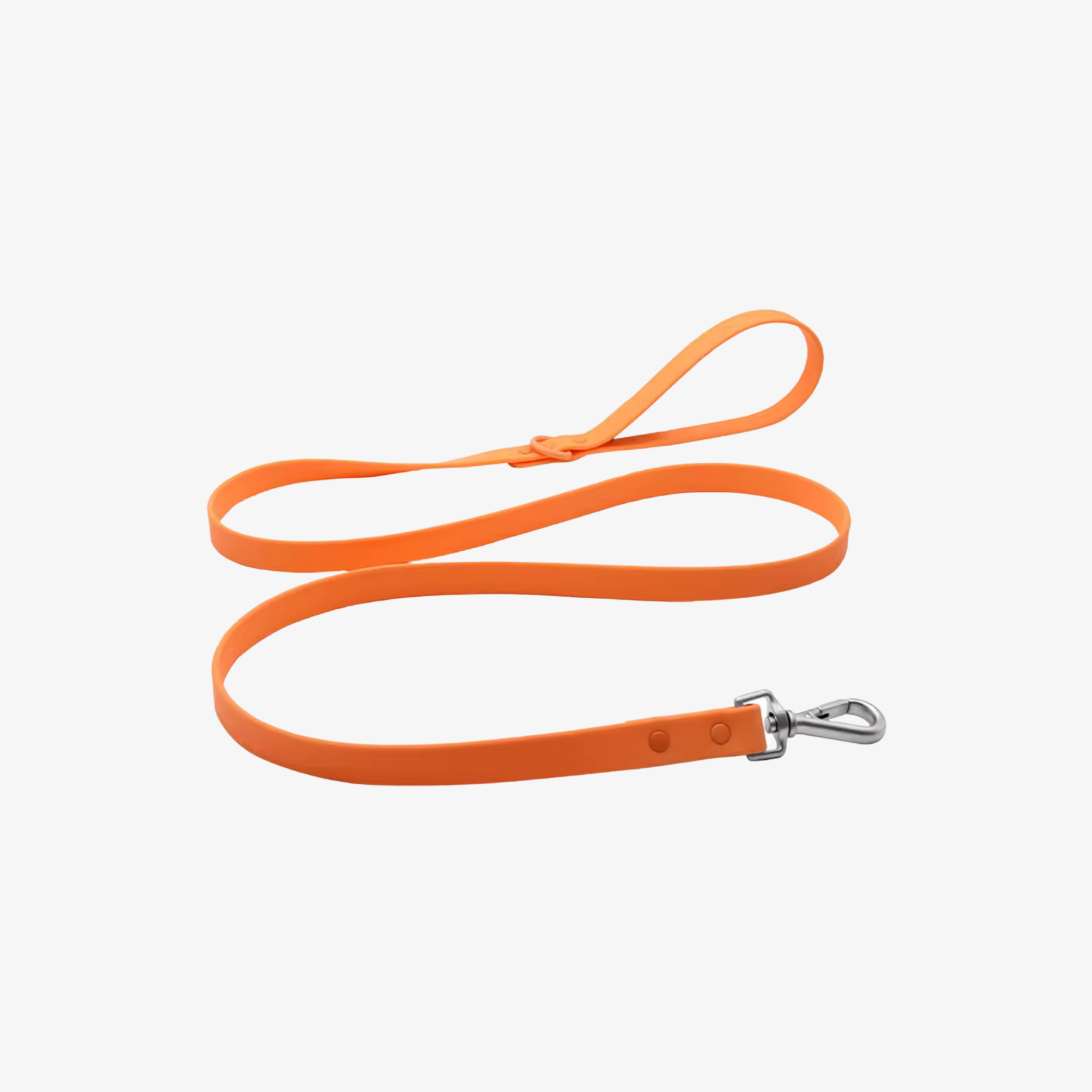 PalmWalk™ Leash