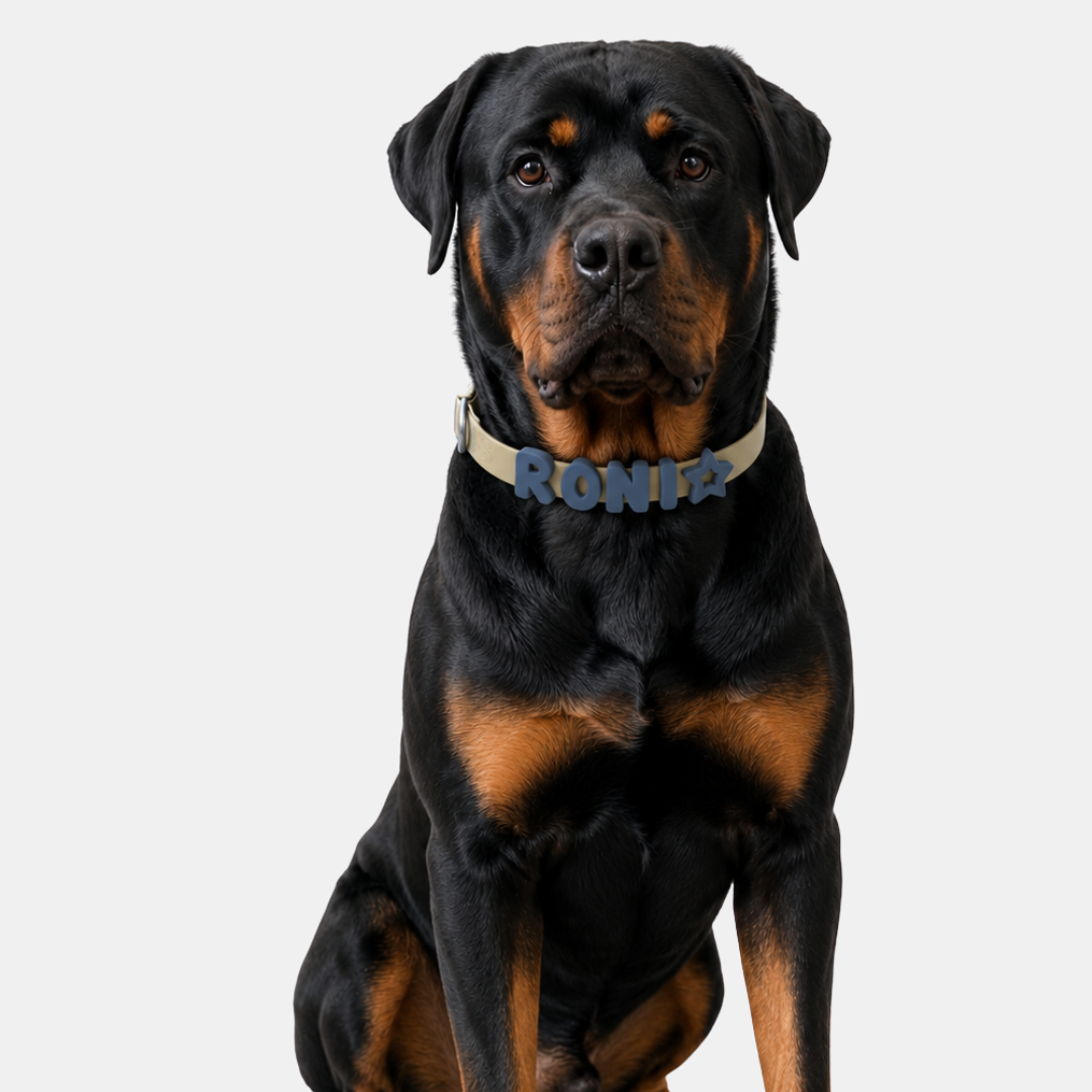 PalmWalk™ Collar