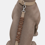 PalmWalk™ Collar