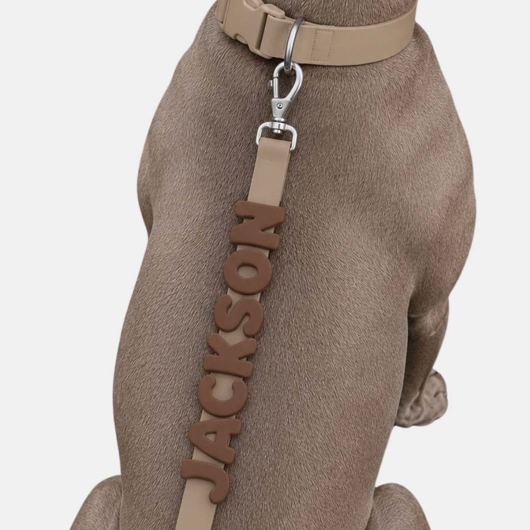 PalmWalk™ Collar