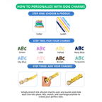 The Palm PalmWalk dog collar lifestyle image