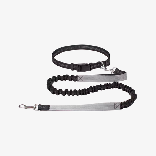 The Palm ElasticPro™ Hands-Free Dog Leash in Gray with adjustable waist belt and shock-absorbing bungee.