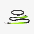 The Palm ElasticPro™ Hands-Free Dog Leash in Green with adjustable waist belt and shock-absorbing bungee.