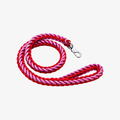 The Palm Berry Blush braided nylon rope dog leash with heavy-duty metal clip for medium and large dogs