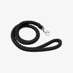 The Palm braided nylon rope dog leash with heavy-duty metal clip for medium and large dogs