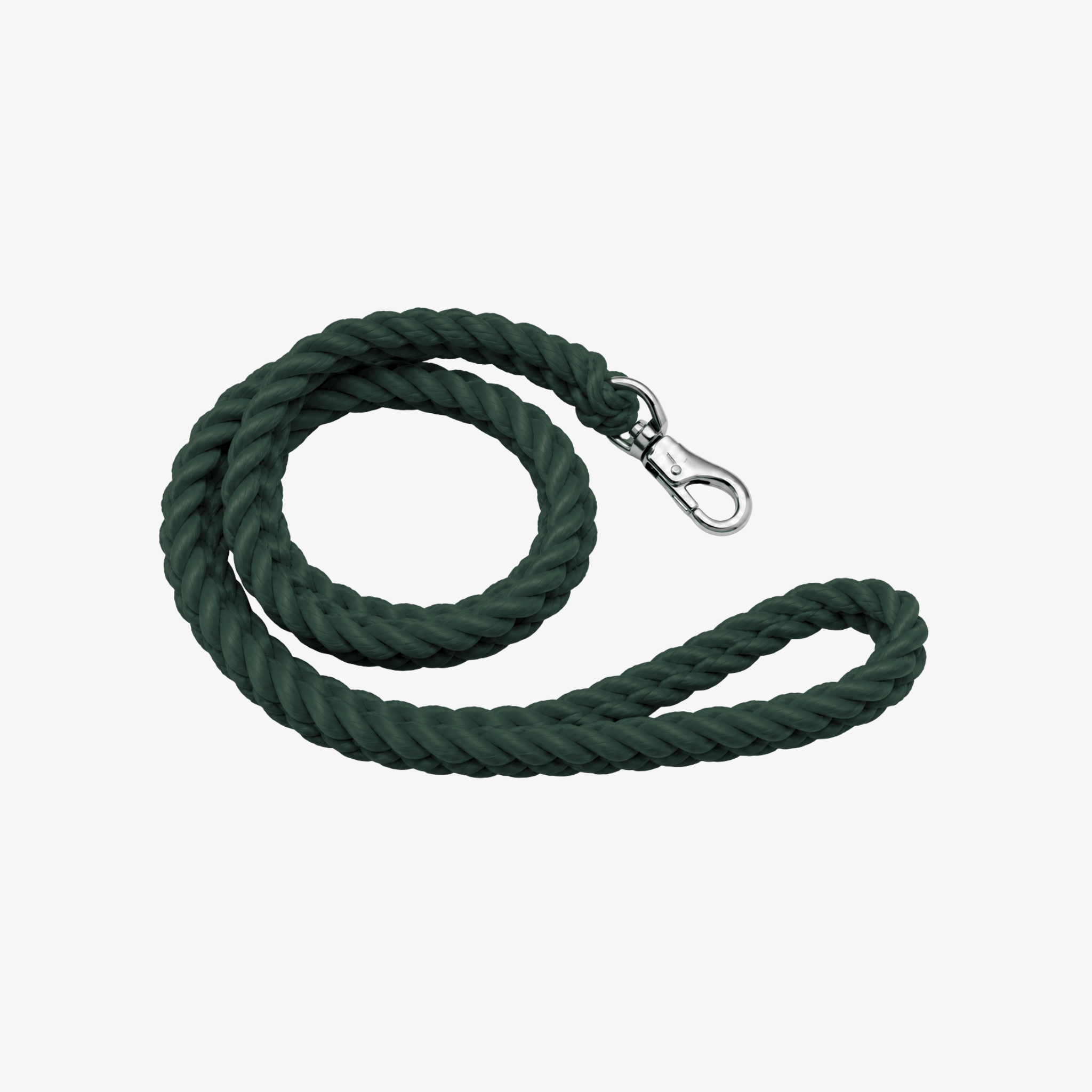 The Palm green braided nylon rope dog leash with heavy-duty metal clip for medium and large dogs