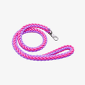 The Palm Marshmallows braided nylon rope dog leash with heavy-duty metal clip for medium and large dogs