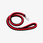 The Palm Rose Quartz Braided Rope Dog Leash