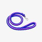 The Palm TwistRope™ two-tone braided rope dog leash in Royal Blue and Electric Violet with durable nylon rope, heavy-duty metal swivel clip, and comfortable hand loop for medium and large dogs.