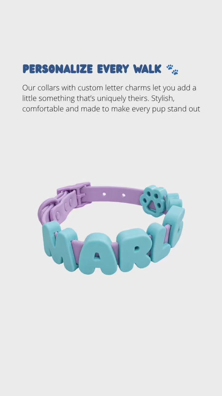 PalmWalk™ Collar