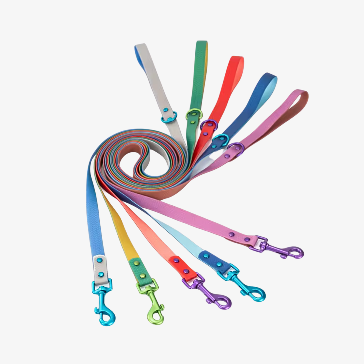 A set of colorful dog leashes arranged in a spiral on a light gray background. The leashes come in multiple vibrant colors including blue, green, red, orange, pink, purple, and yellow, each with a matching metal clasp and swivel.