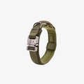 Heavy-duty tactical training pet collar with secure metal buckle in olive green by The Palm